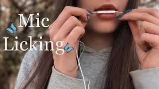 ASMR mic licking|АСМР ликинг микро😛