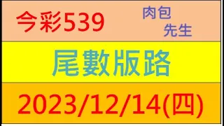 今彩539 『尾數版路』【2023年12月14日(四)】肉包先生