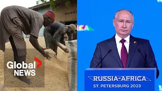 Putin promises African leaders free grain following Black Sea deal exit