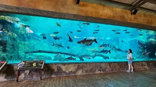 River Wonders Aquarium Part 2