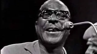 Sonny Terry - Hooray, Hooray, These Women Is Killin' Me