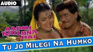 Aadmi Khilona Hai : Tu Jo Milegi Na Humko Full Audio Song With Lyrics | Govinda, Meenakshi Seshadri