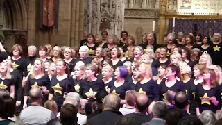 California Dreaming - East and West Sussex Rock Choir