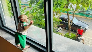 Monkey Bibi obediently waits for his father to buy breakfast!