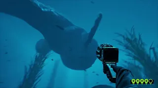 Zoonomaly Jumpscare Whale Monster