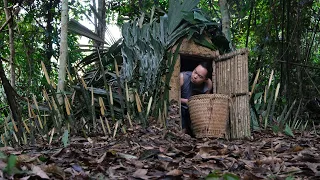 Detecting wild Boar and Building emergency shelter, camouflage have defense