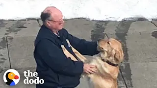 Dog And Mailman Have The Sweetest Relationship | The Dodo