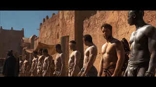 【Gladiator】 Red or Yellow | clips 3/9