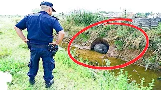 Man Buys New House , Then His Gut Tells Him To Dig In His Backyard