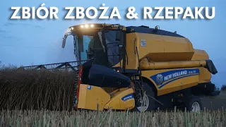 🔥ZBIÓR ZBOŻA & RZEPAKU🔥 Czyli koszenie od rana do nocy | Żniwa 2023 | Agro Garwolin