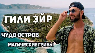 Гили Эйр - райский остров. Почему туда переезжают с Бали? Грибы / Еда / Экскурсии