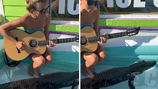 Woman from Florida hilariously serenades to alligator #shorts