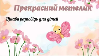 Прекрасний метелик🦋 Цікава розповідь про метелика для дітей✨