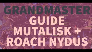 Grandmaster Zerg - GUIDE - ZvZ 2 Base Mutalisk into Roach Nydus