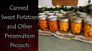 Canned Sweet Potatoes and Other Preservation Projects