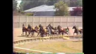 1979 New Zealand Cup - Addington, Christchurch: Lord Module