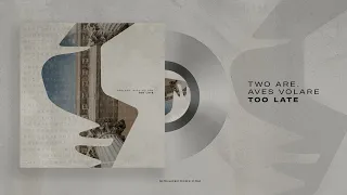 Two Are, Aves Volare - Too Late (Original Mix)