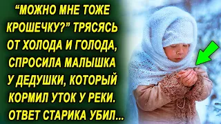 "Можно мне тоже крошечку?" спросила она у дедушки, который кормил уток у реки. Его ответ шокировал…