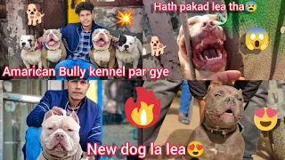 Dog Kennel Par Gaye Amarican Bully N Jata He Attack Kiya😨|| New Dog La Liya😍|| Full Vlog 🐕