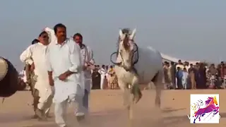 Peer papu shah Qureshi (late), Peer papu shah bodla (late).