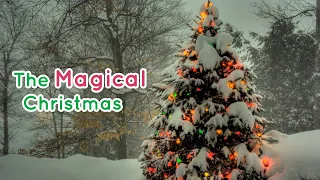 【Did You Know】The Magical Christmas