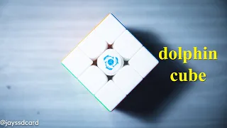 I Tried The Dolphin Cube (HaiTun WaveRider V1 Unboxing & Review)