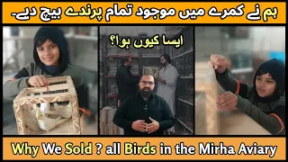 Why We Sold? all Birds of Mirha Aviaryہم نے کمرے میں موجود تمام پرندے بیچ دیے۔