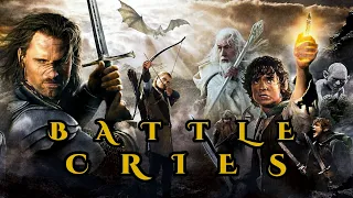 Battle Cries - Peyton Parrish (Lord Of The Rings) Music Video