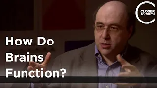 Stephen Wolfram - How Do Brains Function?