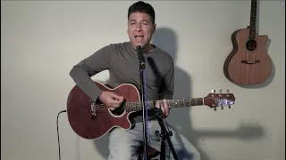 Faithfully - Journey (Joey Bouza acoustic cover)