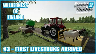 First Livestock, Making Hay In Rainy Day - #3 Korpi Map - Farming Simulator 22