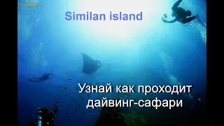 Дайв сафари на Симиланских островах. Дайвинг на Симиланах это изюминка Андаманского моря.