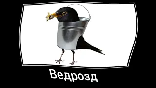 Птицы + ШИЗА (2 часть)=