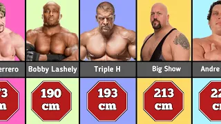 WWE male superstars height comparison 2023 | WWE wrestlers hight comparison |