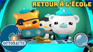 Octonauts - En savoir plus sur les créatures marines | Retour à l'école | Compilation