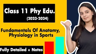 Fundamentals Of Anatomy  Physiology in Sports Class 11 | Class 11 Physical Education Chapter 6