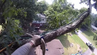 Remove a Tree Overhanging a House Without a Crane or Lift (2018) - Part 3