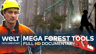 TREACHEROUS TIMBER - Loggers And Their Mega Tools | Full Documentary