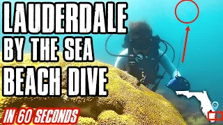 How to scuba dive Lauderdale by the Sea | Shore Diving | Everything you need to know in one minute.