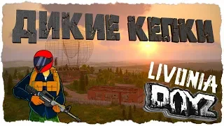 НАПАЛИ ДИКИЕ КЕПКИ | ПЕРВЫЕ ЧАСЫ НА НОВОЙ КАРТЕ - DayZ Livonia 1.06