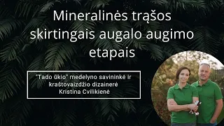 Mineralinės trąšos. Ką reiškia NPK? Ko augalui reikia? Tręšimo taisyklės.