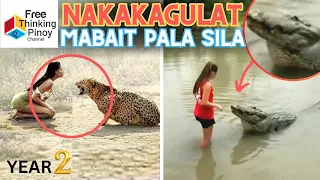 Delikadong Hayop Nakunang MABAIT sa mga TAO! Dangerous Animals Caught Being Friendly