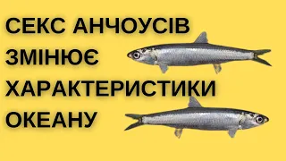 РОЗМНОЖЕННЯ РИБ ВПЛИВАЄ НА ПЕРЕМІШУВАННЯ ВОД У СВІТОВОМУ ОКЕАНІ. ІҐНОБЕЛІВСЬКА ПРЕМІЯ 2023 РОКУ