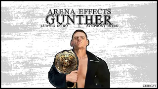 WWE: Gunther - Prepare To Fight (Entrance Theme w/Ludwig Intro & Symphony Intro) + [Arena Effects]