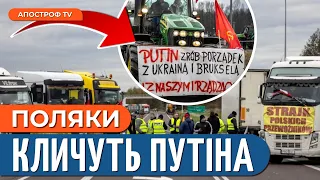 🤬 КОРДОН ПОВНІСТЮ ПЕРЕКРИТО! Польща влаштувала катастрофу