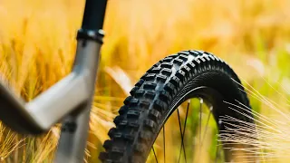 Testing The All NEW Schwalbe Tires | Big Betty And Nobby Nic