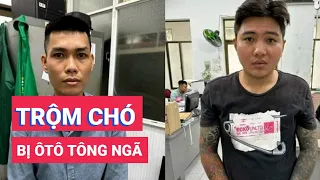 Bắt giữ hai thanh niên trộm chó bị tài xế ôtô tông ngã