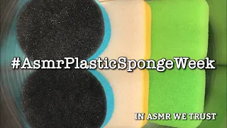 ASMR 🧽 Plastic Sponge Week | Laundry Powder Squeeze