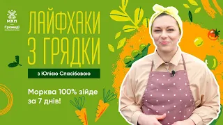 МОРКВА 100% зійде за 7 днів | “Лайфхаки з грядки” від блогерки-городниці