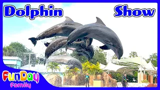 Dolphin Adventures (Full Show)- SeaWorld Orlando with Urvi |  @FunDayKid | @fundayfamily-akidsvlog
